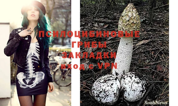 прущие крисы Наволоки