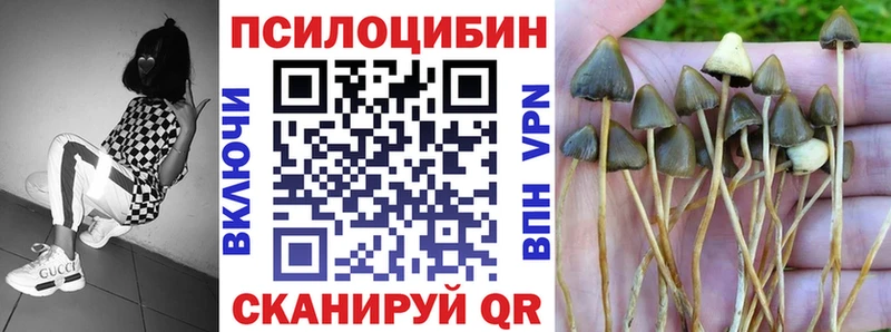 Псилоцибиновые грибы Cubensis MEGA ссылки Скопин